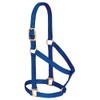 Weaver Leather Basic Non-Adjustable Nylon Horse Halter, Blue, 1" Small