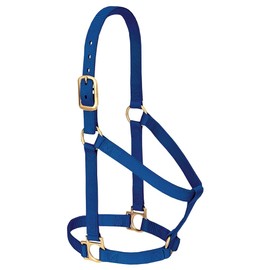 Weaver Leather Basic Non-Adjustable Nylon Horse Halter, Blue, 1" Small Horse