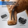 Purple Dragon Dog Grooming Scissors Set - Curved Chunkers, Straight,