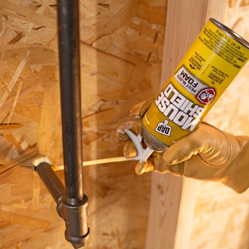 DAP 4001012506 12OZ Mouse Foam Sealant, Cream