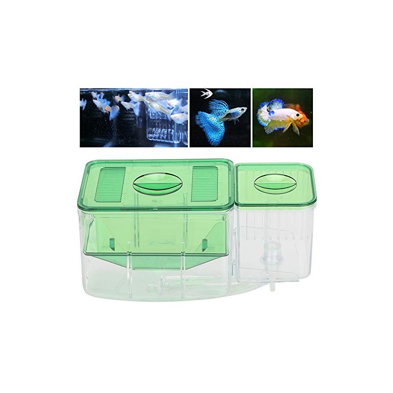 Fish Breeding Box, Acrylic Fish Hatchery Isolation Box Double Layer
