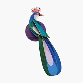 AVE DEL PARAISO, BANDA