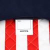 Red Stripe Lessons Bag