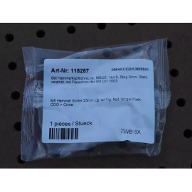 Unbranded M8X25MM HAMMER SCREW LOT of 10