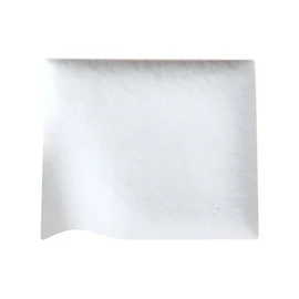 WASARA Disposable Paper Plates, Square Plates, Large Packaging, Pack of 6