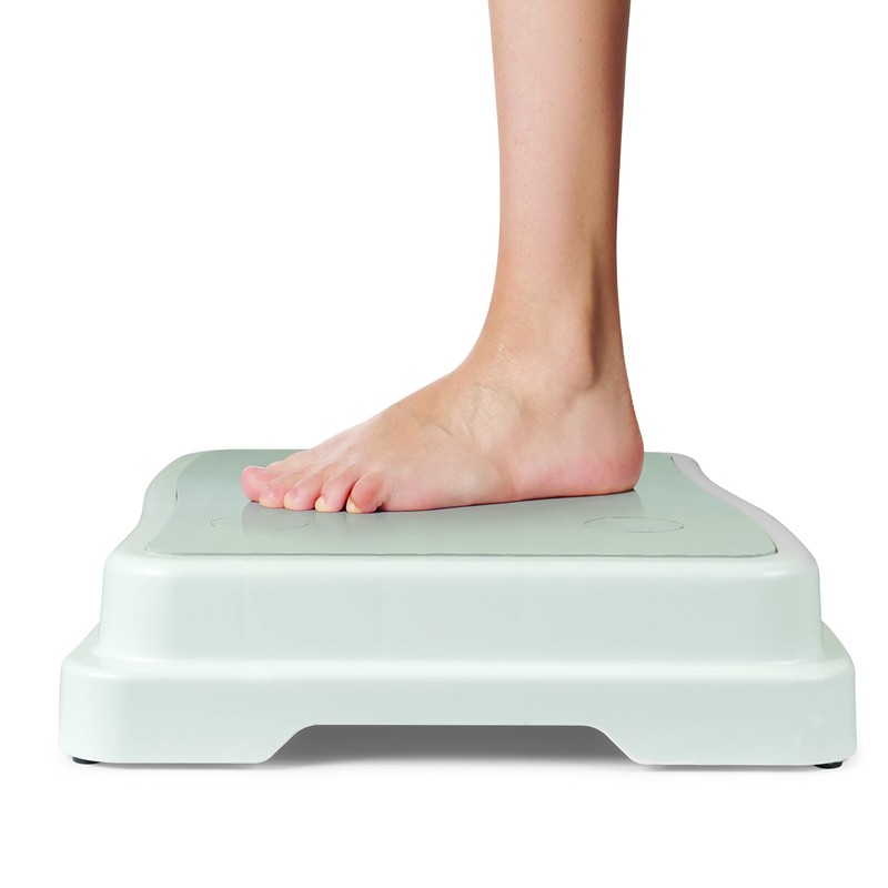 IdeaWorks Bath Step Safely into Bathtubs, White