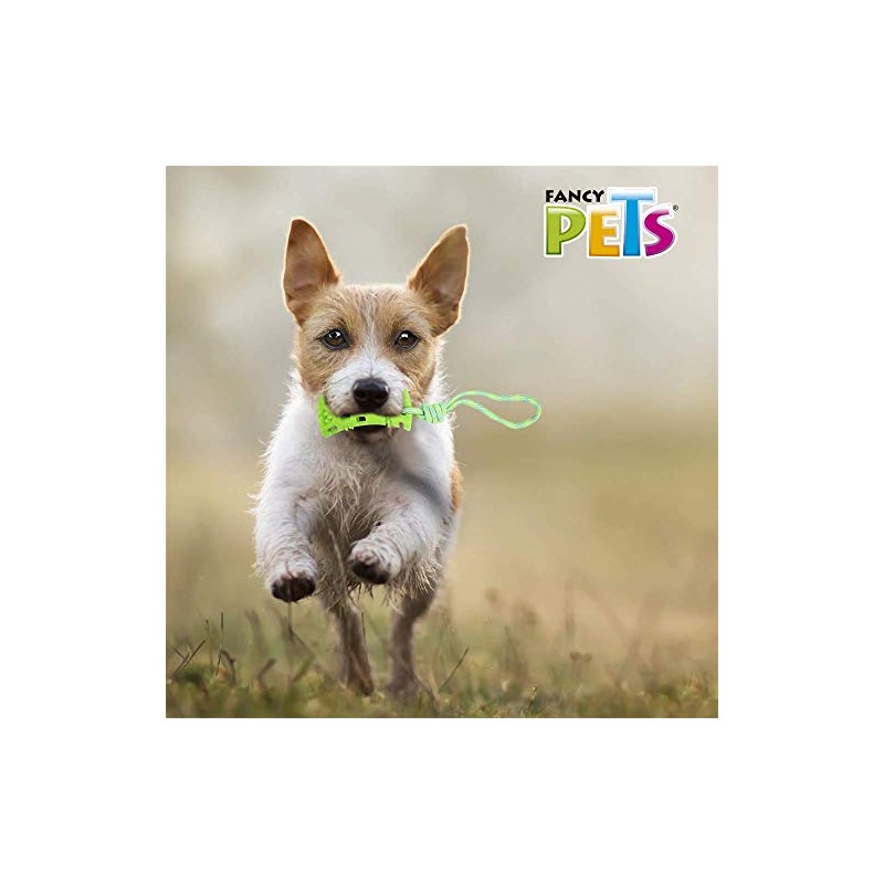 Fancy Pets Juguete Pull Hueso con Cuerda para Perro