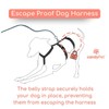 3 Point Harness Anti Pull Ideal for Libreles: Italian Greyhound