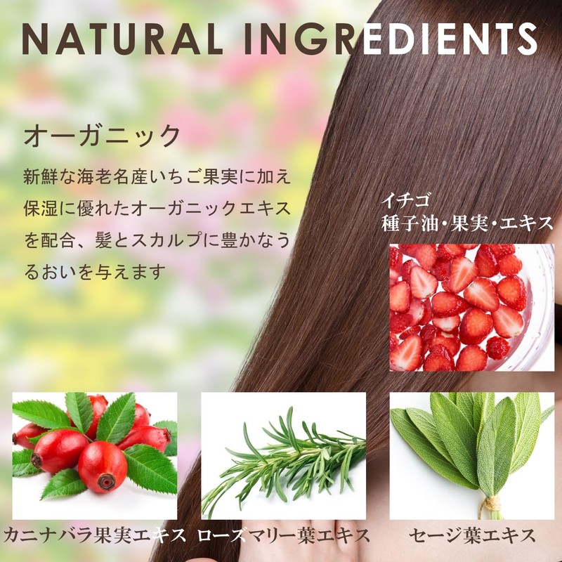 Strawberry Shampoo Treatment, Pouch Set, Salon Quality, Amino Acids, Gentle