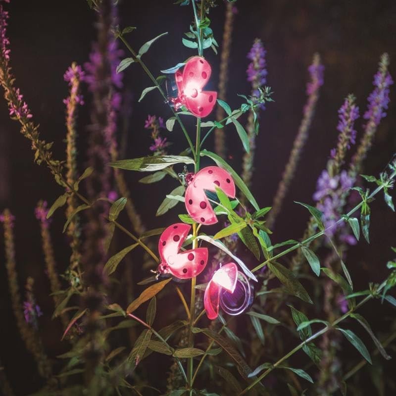 Galix Solar Ladybird Garden Decoration with Clip, LED Light, 6