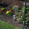 YardGard Welded Wire 2X4 Inch Mesh 48 Inch X 50