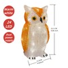 Gloworm YKL-1018, 22.5CM Acrylic Battery Box Owl with 24 Warm