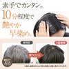 Lefine Hair Dye Head Spa Color Treatment, R, 2.8 oz