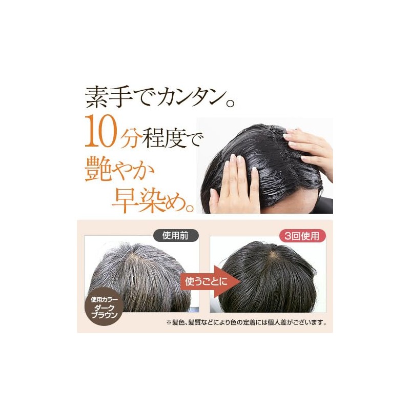 Lefine Hair Dye Head Spa Color Treatment, R, 2.8 oz