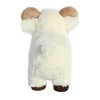 Aurora - Eco Nation - Ram - 20.32cm.