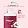 Wellthy Berberina Pura 300 Cápsulas. 100 Berberis Aristata, 500mg cu,