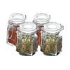 Premier Housewares Spice Jars with Clip Tops - 8 x