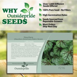 Outsidepride 1000 Seeds Perennial Heuchera Americana Dale's Strain Pink Flower Seeds for Planting