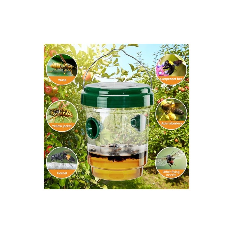 4 Pack Solar Wasp Trap - Eco-Friendly Insect Control