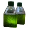 Cepa Espirulina Máxima, Calidad Laboratorio 800ml