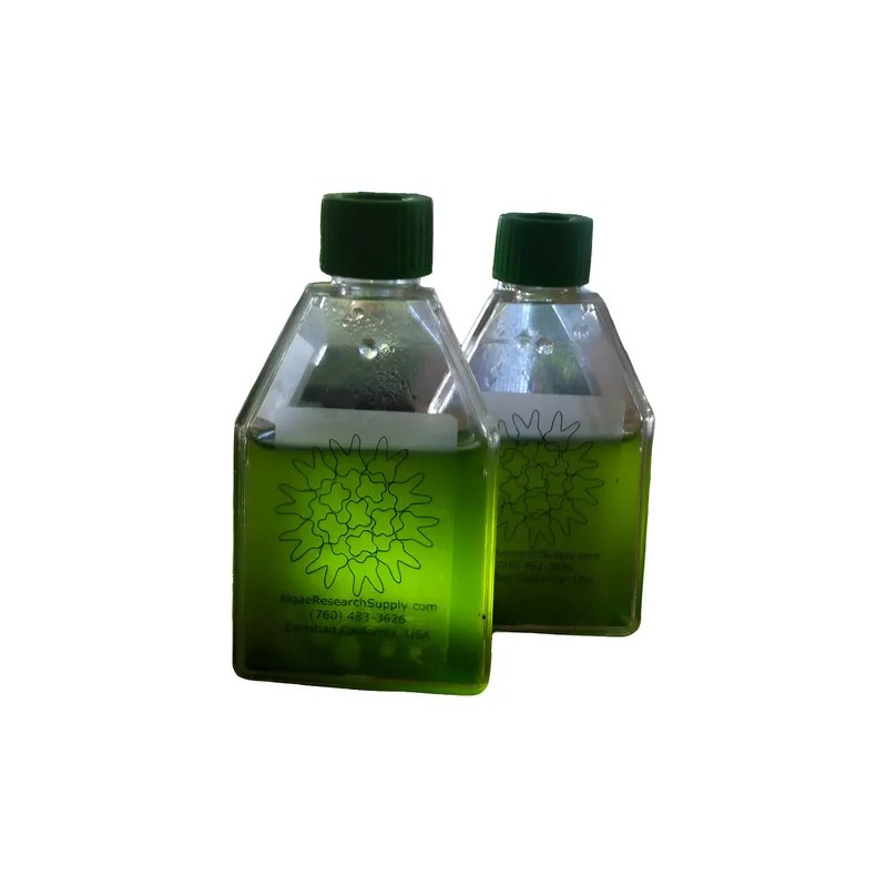 Cepa Espirulina Máxima, Calidad Laboratorio 800ml