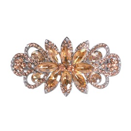 Sankuwen Flower Rhinestone Hairpin Luxury Jewelry Designed Hair Accessory French Barrette Hair Clip (Champagne)