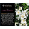 Seda France - Japanese Quince Candle