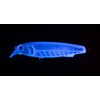 Yamaria VSUZS75004KSG Maria Souther S75 004 Kaymura Slit Glow