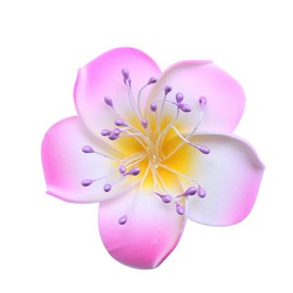 DECORA 20 Bundles 1700 Pieces Assorted Color 3mm Pearl Flower Stamen for Card Making Decoratiaon