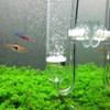 Yagote CO2 Diffuser Glass Reactor for Aquarium Planted Tank (CO2