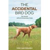 The Accidental Bird Dog: My Journey with an Extraordinary Vizsla