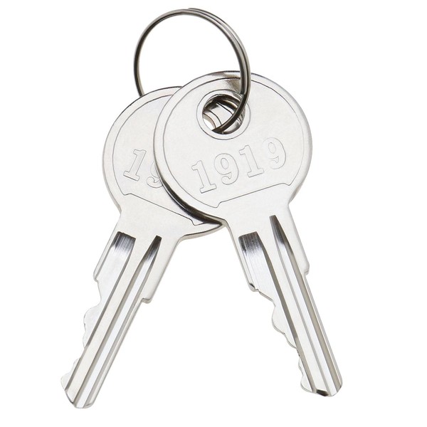 VGOL 2PCS Golf Cart Ignition Keys with 1PCS Key Ring