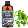 Gardenera Premium Liquid Pothos Fertilizer - 3-1-2 Concentrate for Indoor