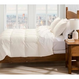 Cuddledown Chroma Down Alternative Comforter | Soft, Lofty, Cloudlike | Hypoallergenic | 100% Cotton Sateen Shell | Handcrafted | Duvet Insert | Oeko-TEX Certified | Twin | All Season | Ivory