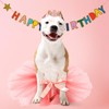 2 Pcs Dog Crown Headband Dog Tutu Dress Set Crystal