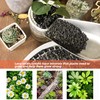 3lb Black Lava Rock for Plant, 1/8-1/4 inch Horticultural Volcanic