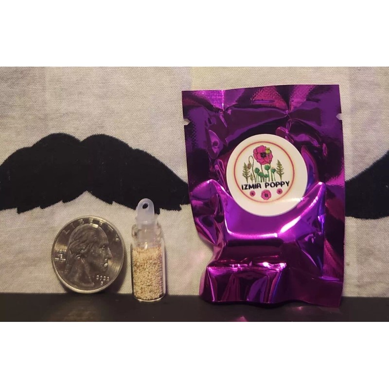 The TRUE Izmir Bush Poppy (Papaver S.) 1500 Seeds