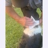 Bye Bye Skeeter Insect Repellent,Towellette Wipes DEET Free 20% Picaridin