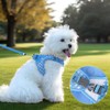Soft Mesh Dog Harness and Leash Set, Step-in Escape Proof