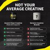Ascent Clean Creatine Monohydrate Powder - 5G Per Serving, Creapure