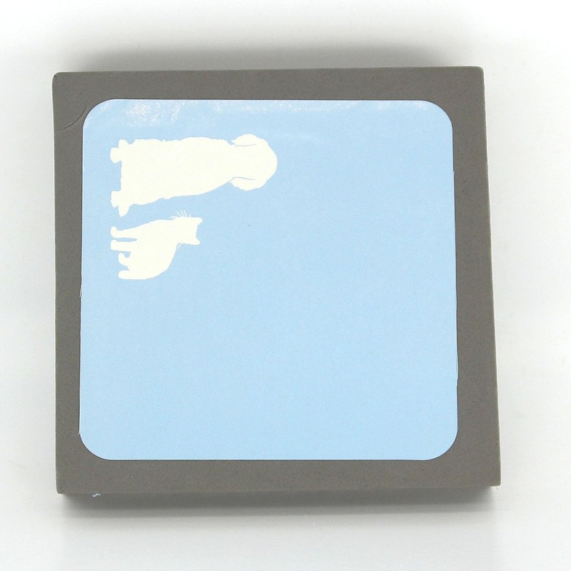 Pet Hair Remover Foam Block for Carpets, Sofas, and Clothes