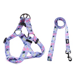 QQPETS Dog Harness Leash Set Adjustable Heavy Duty No Pull Halter Harnesses for Small Medium Large Breed Dogs Back Clip Anti-Twist Perfect for Walking