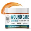 Silver Wound Care Ointment for Dog & Cat Skin Relief
