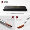 Kolinsky Sable Miniature Watercolor Brushes, Fuumuui 5pcs Professional Small Detail