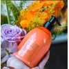 Dr. Taffi Acqua di Bolgheri Scirocco Fluid Body Lotion 300