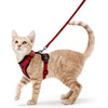 Rabbitgoo Cat Harness and Leash Set, Escape Proof, Soft Chest