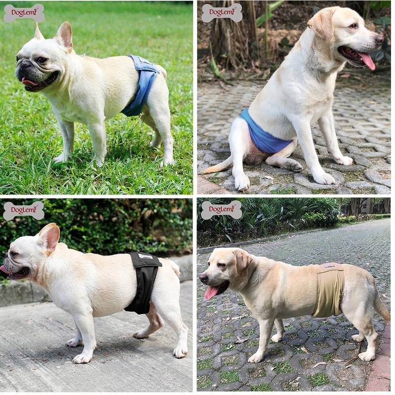 3Pcs Washable Male Dog Belly Band Wrap Waterproof Pet Diaper