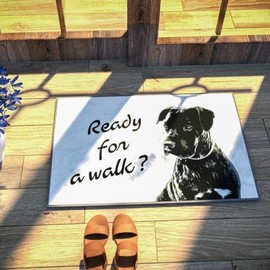 Giant Floor Low Pile Rugs for Indoor - 16" x 24" Non Slip Washable Mat - Perfect as Indoor Kitchen mats, Doormats, Bathroom mats & More! | Rubber Backed mat Made with Polyester