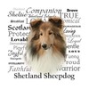 CafePress Sheltie Traits Throw Blanket Super Soft Fleece Plush Throw
