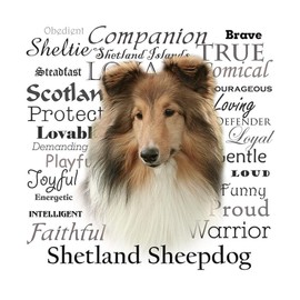 CafePress Sheltie Traits Throw Blanket Super Soft Fleece Plush Throw Blanket, 60"x50"